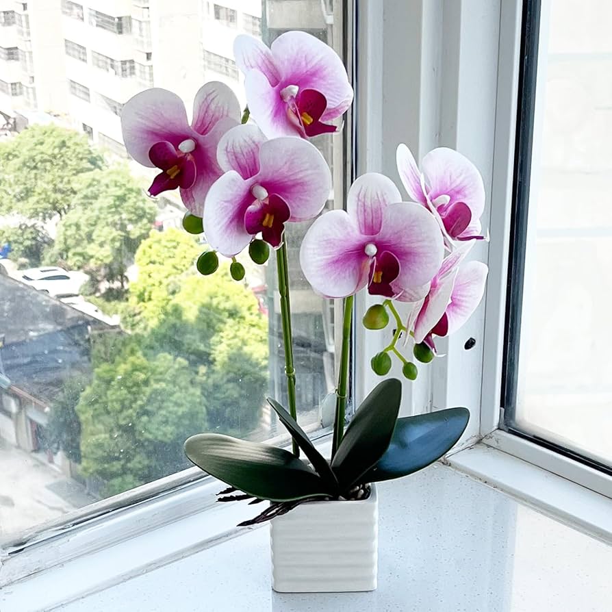 Amazon.com: LZTDRZH Artificial Orchids ...